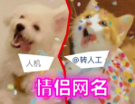 阿瓦达啃大瓜伏地魔原声阿瓦达啃大瓜是什么梗 啥意思介绍