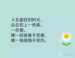 经典短句子 人生感悟,人生感悟经典短句集锦