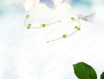 日系ins背景图,清新治愈，打造个性空间