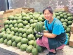 恶搞情侣头像,趣味横生的甜蜜瞬间