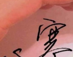 姐妹5免费观看完整版国语,免费解锁，国语完整版，独家放送