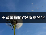 好听有涵养的网名,探寻好听有涵养的网名魅力
